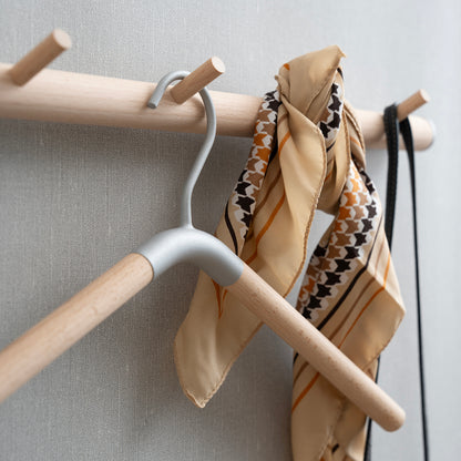 Clothes Hanger, Pair